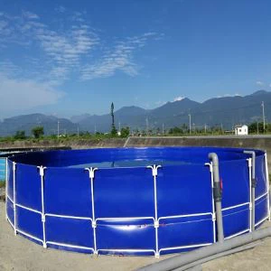 Tangki Ikan Budidaya Dalam Ruangan Luar Ruangan